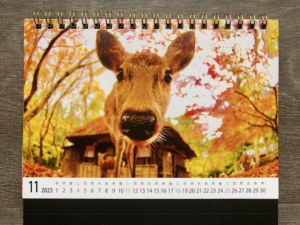 奈良の鹿カレンダー11月