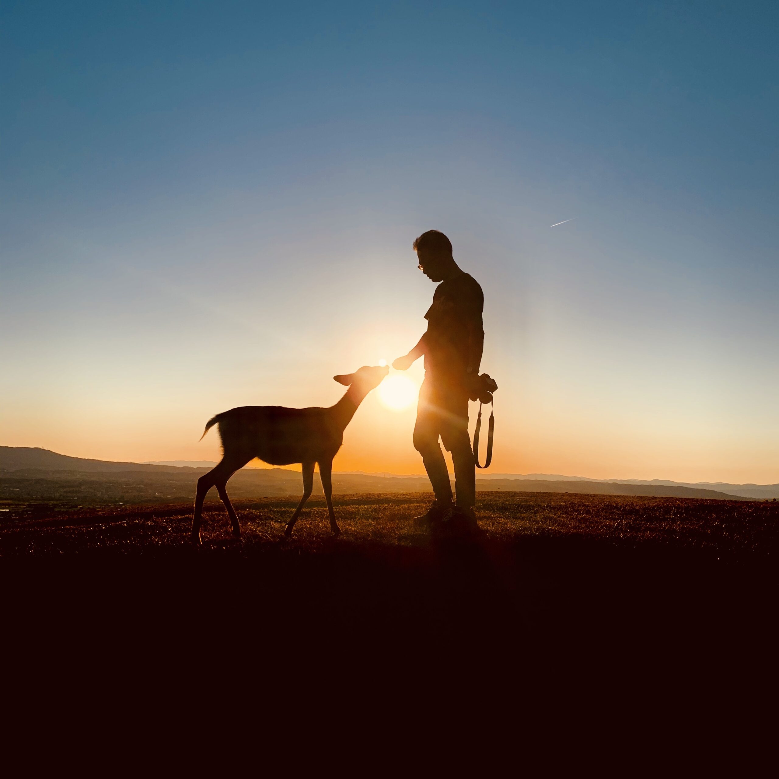 Toshinori Yamamoto 写真家 山本敏則